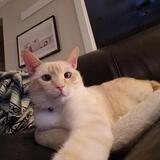 Entry image for Axle