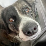 Entry image for Winnie