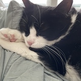 Entry image for Phil