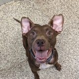 Entry image for Maggie