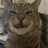 Entry image for Kristoph