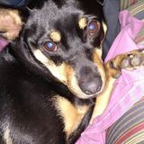 Entry image for Tilly