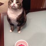 Entry image for Fillmore