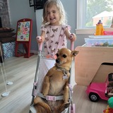 Entry image for Chevy