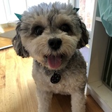 Entry image for Abby 