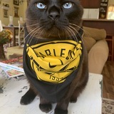 Entry image for Alberto