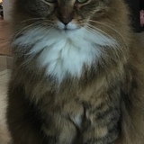 Entry image for Francesca 