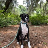 Entry image for Marlo