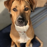 Entry image for Finn