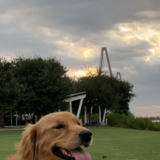 Entry image for Millie