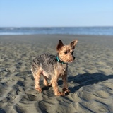 Entry image for Mackie