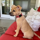 Entry image for Charley Grace