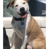 Entry image for Porter