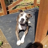 Entry image for Jenny