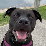 Entry image for Maverick 