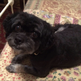 Entry image for Jessie