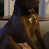 Entry image for Chance