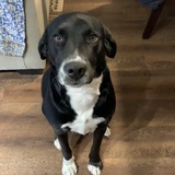 Entry image for Squiggy