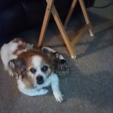 Entry image for Mimi