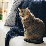 Entry image for Maxi