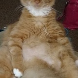 Entry image for Decklan