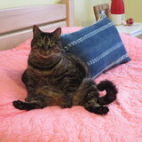 Entry image for Jack