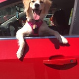 Entry image for Hadley