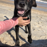 Entry image for Cooper Kirkpatrick