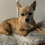 Entry image for Mike