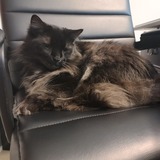 Entry image for Richard 