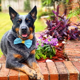 Entry image for Eros