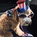 Entry image for Tucker