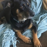 Entry image for Jackson 