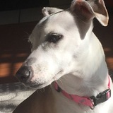 Entry image for Carly