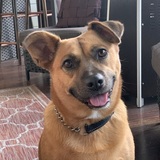 Entry image for Bella