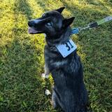 Entry image for Kita