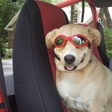 Entry image for Elly May