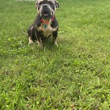 Entry image for Cash