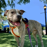 Entry image for Maddie