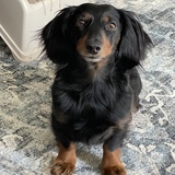 Entry image for Charlie