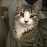 Entry image for Rudy