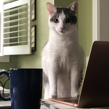 Entry image for Stanley