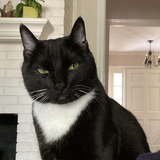 Entry image for Beastie Boy