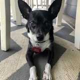 Entry image for Radar