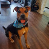 Entry image for Fowler