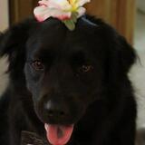 Entry image for Miss Bear 