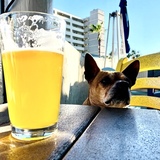 Entry image for Sophie