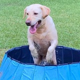 Entry image for Bentley