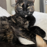 Entry image for Winona