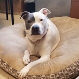 Entry image for Ashley